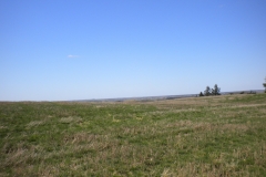 aussicht weinberg